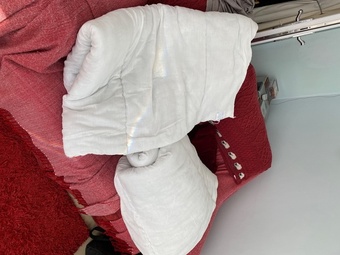 Two Single Duvets With Covers - Little Used